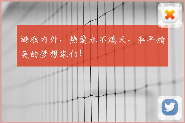 游戏内外，热爱永不熄灭，和平精英的梦想家们！
